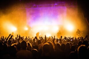 Concert crowd cheering
