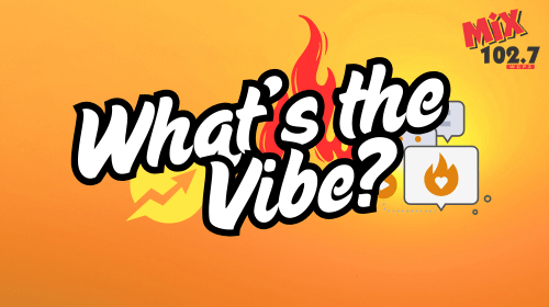 What's the Vibe Website Slider